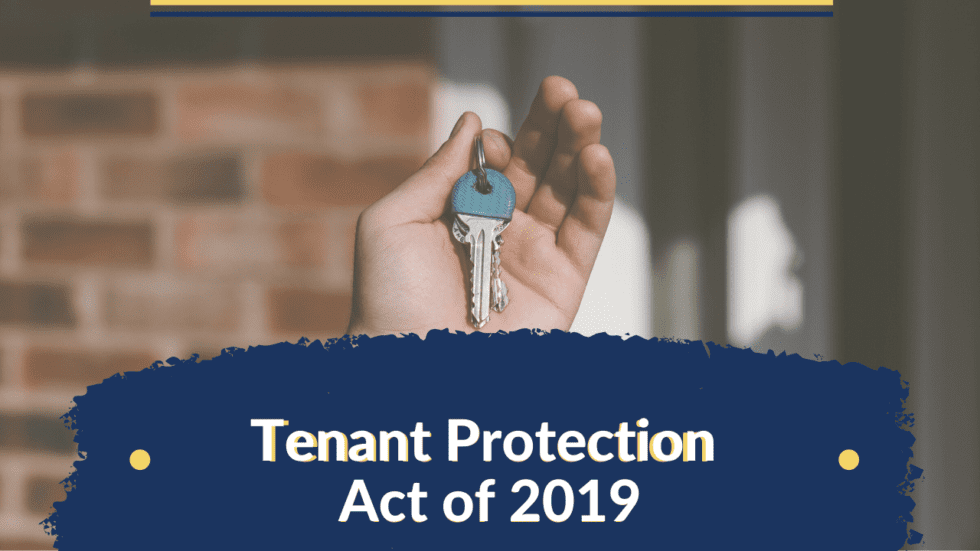 new york 2019 tenant protection act